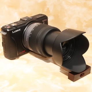 ★超極上美品＆すぐ使える新品SDカード★パナソニック GF2 レンズキット