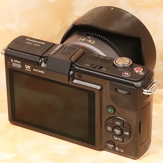 ★超極上美品＆すぐ使える新品SDカード★パナソニック GF2 レンズキット