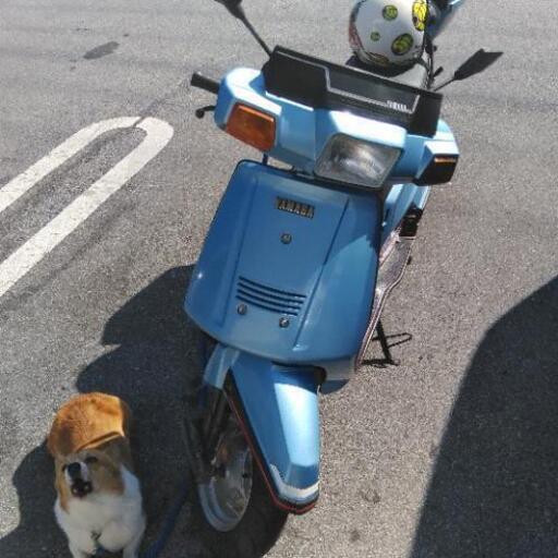 シグナス125 2YM