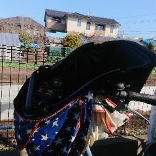 商談中子供乗せ自転車(ビルゴミニ)