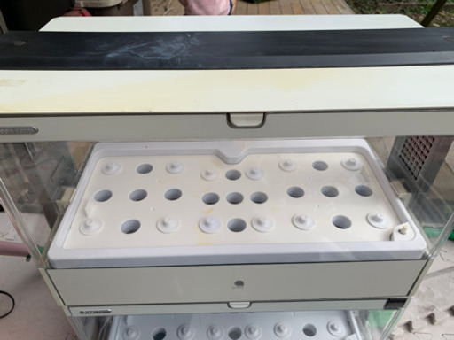 グリーンファーム  水耕栽培