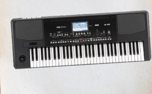 【高い素材】 ＫＯＲＧ PA300 鍵盤楽器、ピアノ