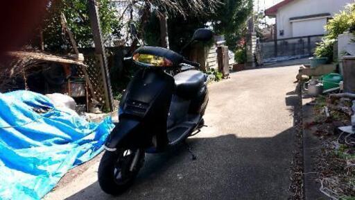 リード１００