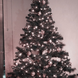 高さ2メートルのクリスマスツリー