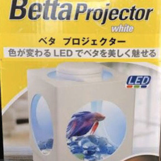 水槽?ラインナップ?水草やアクアリウムに！ 値段はジモティーのルール 