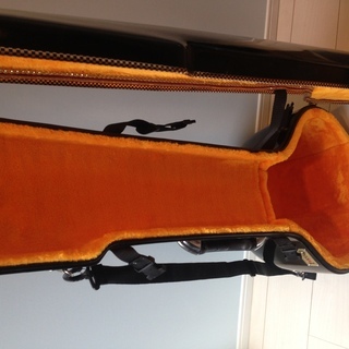 Black Sitar - シタール