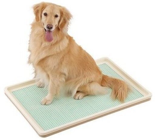 中 大型犬用室内トイレトレー Mico 健軍町のその他の中古あげます 譲ります ジモティーで不用品の処分