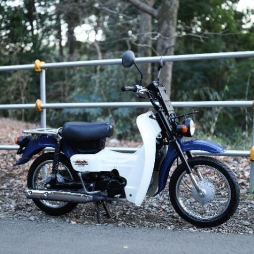 かなり綺麗 バーディー50 インジェクション