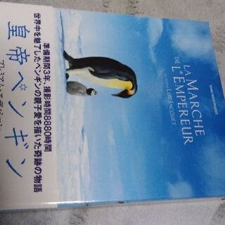 皇帝ペンギン　プレミアム