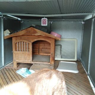 大型犬用サークルと犬舎