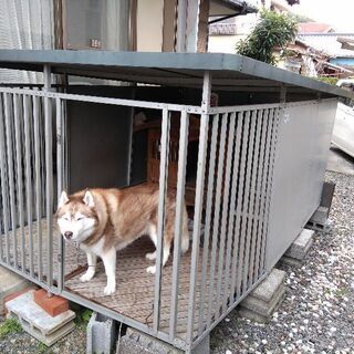 大型犬用サークルと犬舎
