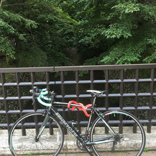 Bianchi Via Nirone 7