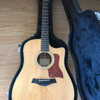 Taylor 310ce  テイラー 