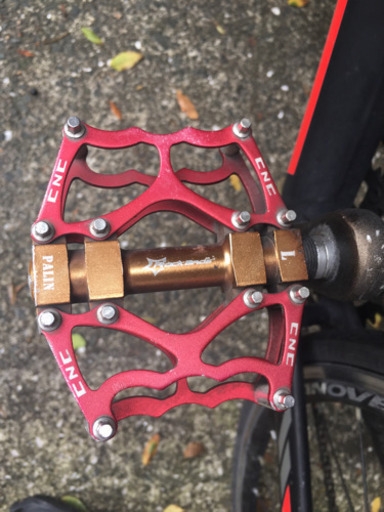 ロードバイク カノーバーゼノス カスタム品