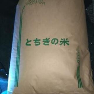 令和元年栃木県産キヌヒカリ３０キロ玄米受け渡し決定しました。