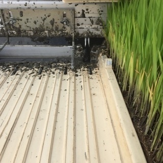 田植え機(2条植え)