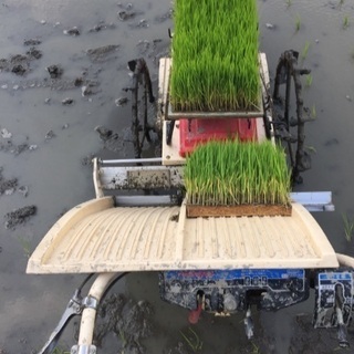 田植え機(2条植え)