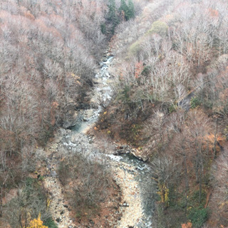 山、山林ください