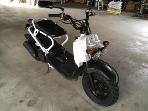 ホンダHONDA ZOOMARズーマー50cc
