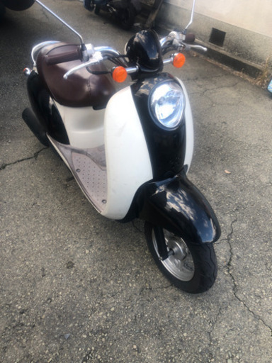 ホンダ  スクーピー