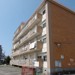 バルコニーが127 5m2 ドッグランできる広さです 松山市福音寺 清水マンション501号 3ldk 7 4万円 Ldkも16畳の広さ イン リフォ三平 松山の賃貸 マンション 一戸建て の不動産 住宅情報 無料掲載の掲示板 ジモティー バルコニーが127 5m2 ドッグランできる広さです 松山市福音寺 清水マンション501号 3ldk 7 4万円 Ldkも16畳の広さ イン リフォ三平 松山の賃貸 マンション 一戸建て の不動産 住宅情報 無料掲載の掲示板 ジモティー