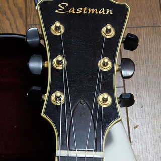 Eastman AR-805CE イーストマン フルアコ
