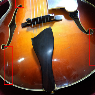 Eastman AR-805CE イーストマン フルアコ