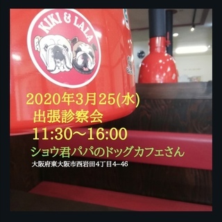 3／25（水）出張診察会　東大阪市ショウ君パパのドッグカフェ