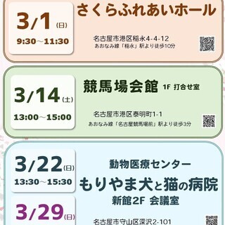 3月1日(日) 猫の譲渡会 名古屋市港区 さくらふれあいホール ...