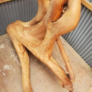 ひのき のインテリア