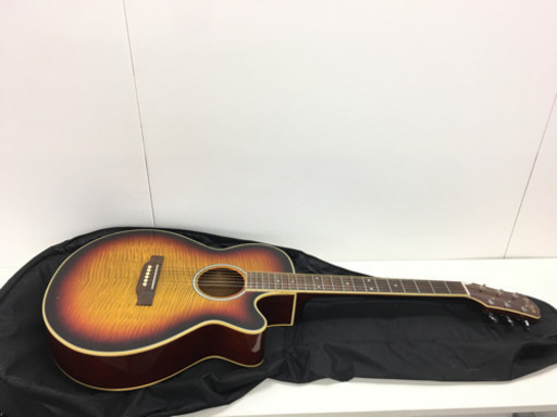 目玉商品❗️】エレアコ PRO MARTIN EA500W VS promartin ea500w vs