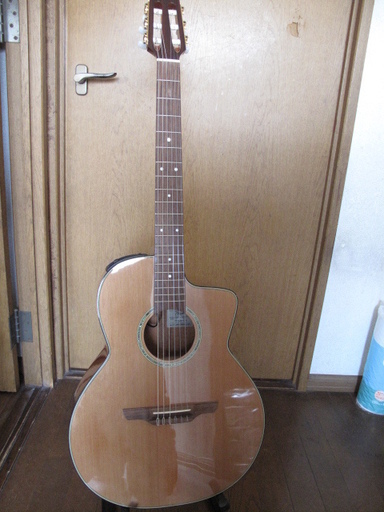 タカミネ　takamine PTU620NC 使用3か月