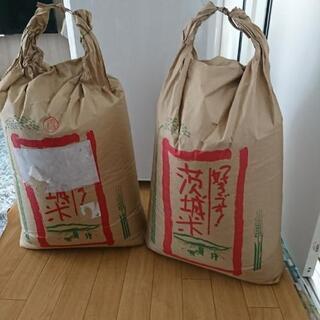 令和元年茨城産の玄米です