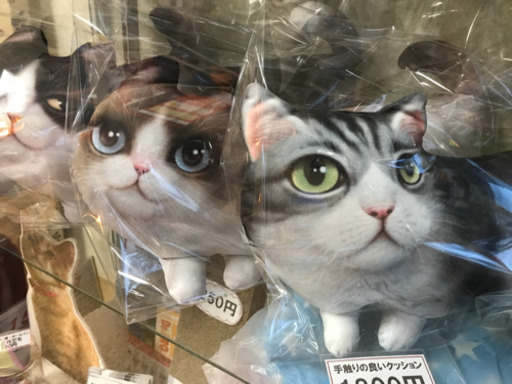 手触りの良い猫クッション