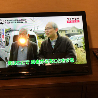 Panasonic ポータブルテレビ（プライベートビエラ）