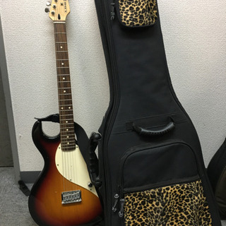 line6 ギター variax ヒョウ柄ケース付き