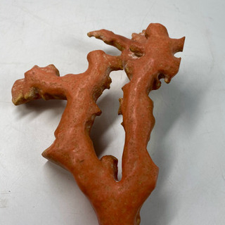 赤珊瑚もも珊瑚拝見　特大