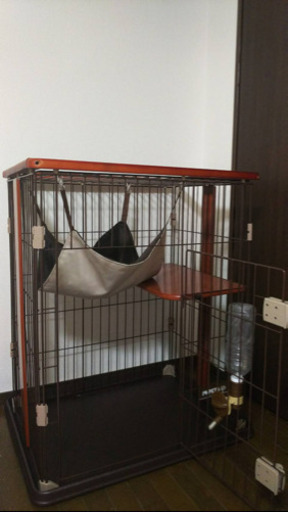 猫ゲージ　キャット