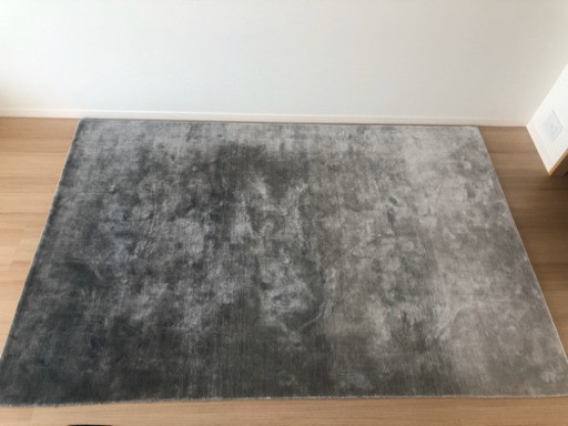 フランフランラグエリージャグレー170×260 (プリエ) 新宿のカーペット 