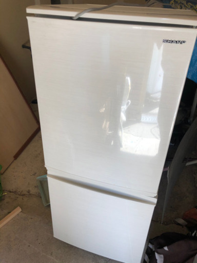 2019年製2ドア冷蔵庫綺麗です