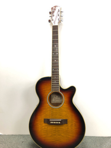 【目玉商品❗️】エレアコ PRO MARTIN EA500W VS