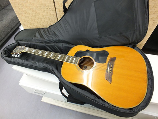 モーリス アコースティックギター MG-50 70531 ソフトケース付 Morris  札幌市手稲区