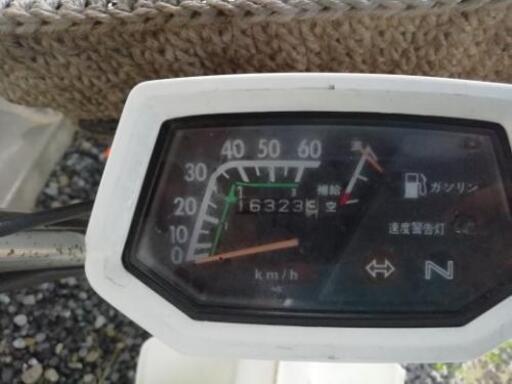 値下げしました( ＾ω＾ )　シャリー　検索　モンキー　ゴリラ　カブ　エイプ　ピンスト　ムーン 値下げしました( ＾ω＾ ) シャリー 検索 モンキー ゴリラ カブ エイプ