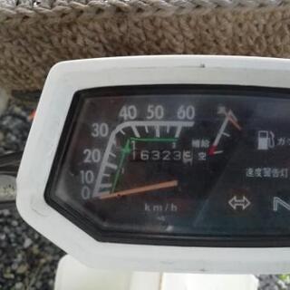 値下げしました( ＾ω＾ ) シャリー 検索 モンキー ゴリラ カブ エイプ