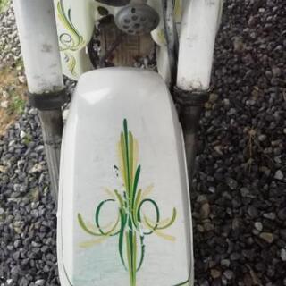 値下げしました( ＾ω＾ ) シャリー 検索 モンキー ゴリラ カブ エイプ