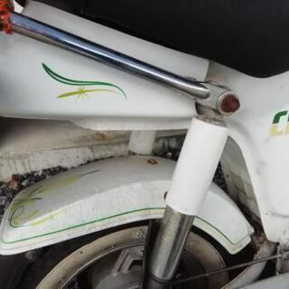 値下げしました( ＾ω＾ ) シャリー 検索 モンキー ゴリラ カブ エイプ