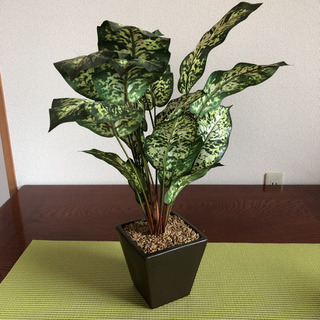 観葉植物フェイク60cm