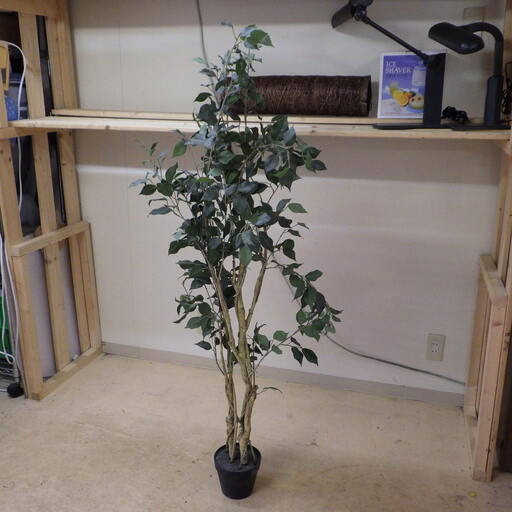 格安人工観葉植物最大高さ150cm程度造木フェイクグリーン にこにこファクトリー 美園のインテリア雑貨 小物 その他 の中古あげます 譲ります ジモティーで不用品の処分