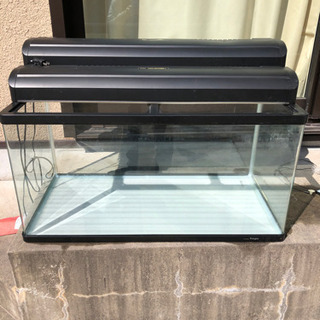 90cm水槽と外部フィルター(おまけの照明2台4灯付き)締め切り3/10 90cm水槽と外部フィルター(おまけの照明2台4灯付き)締め切り3/10
