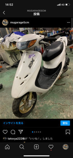 白ZX 先渡し可能
